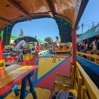 Our February trip to Mexico