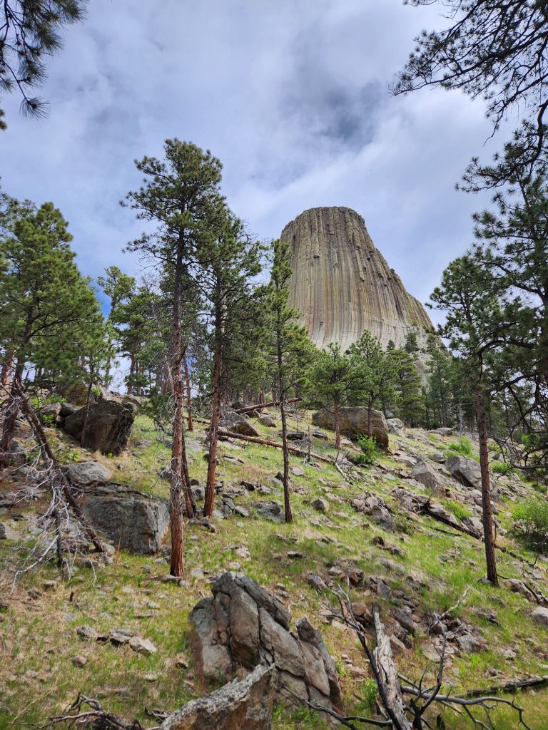 Devil's Tower