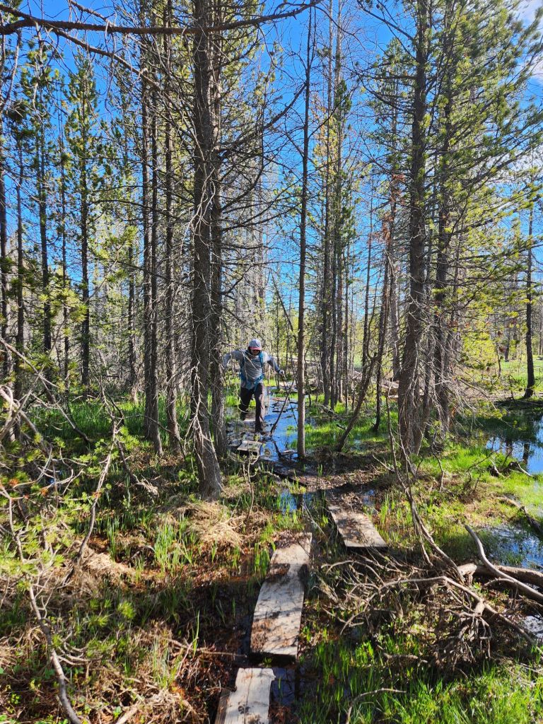JD hopping to avoid water