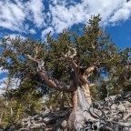 Great Basin National Park, NV