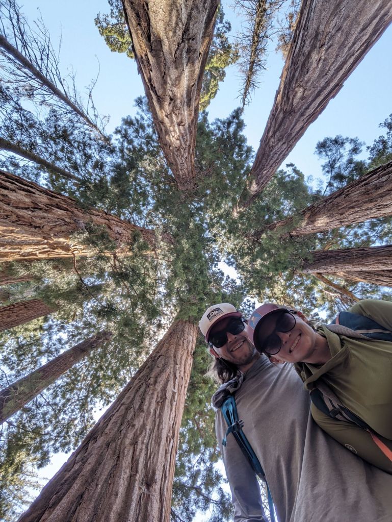 Molly and JD posing with a grove of Sequoias