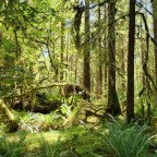 Olympic National Park, WA