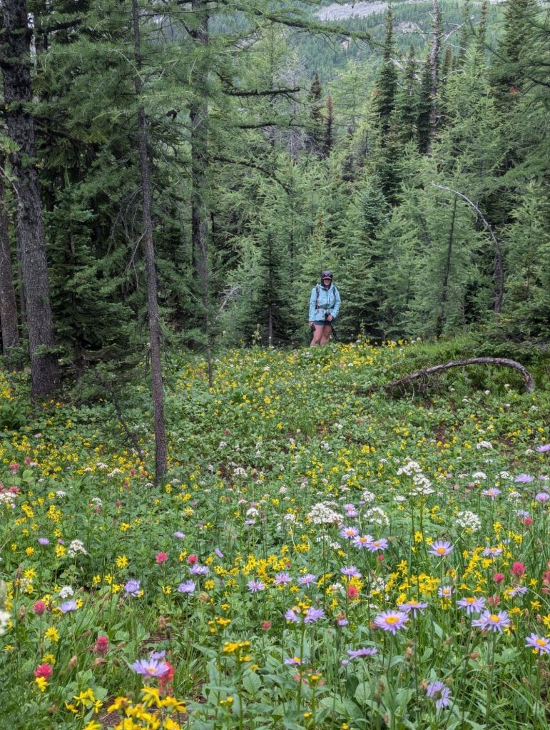 Molly with wild flowers