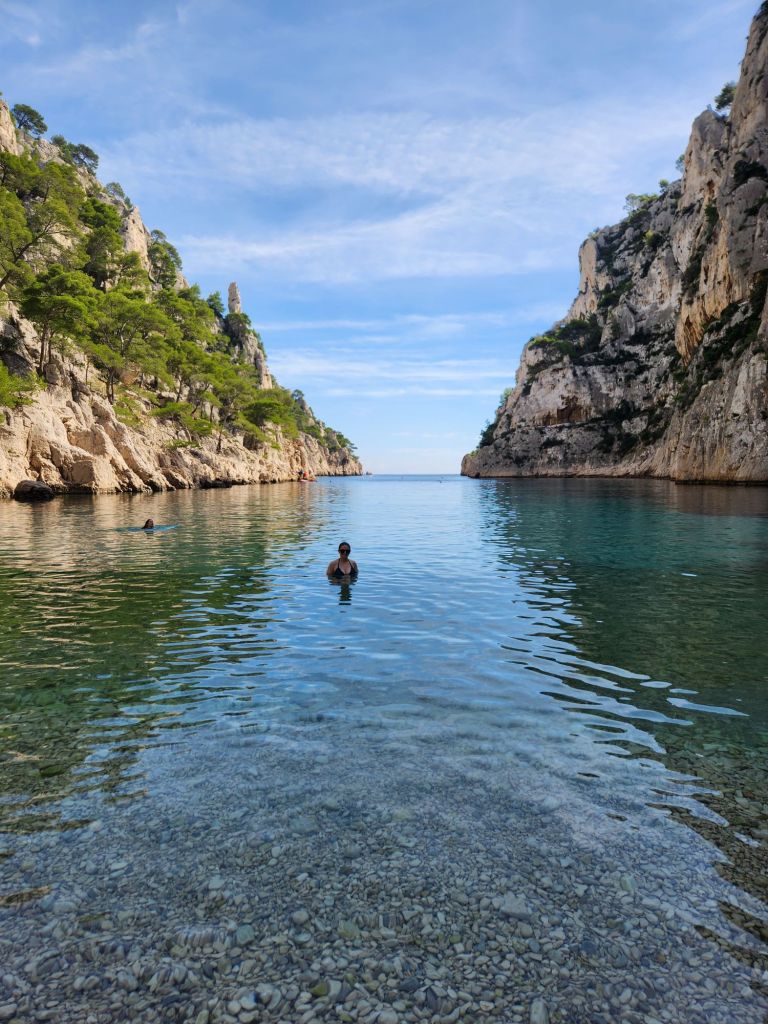 Molly swimming in the calanque