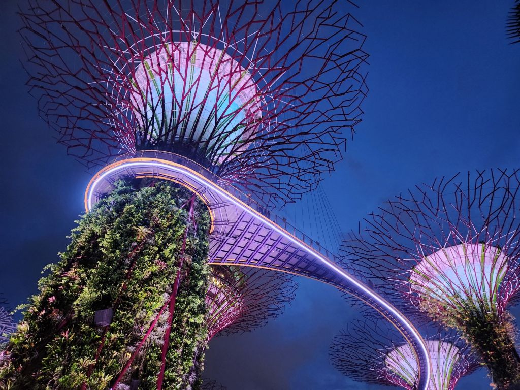 Super Tree Grove Light show