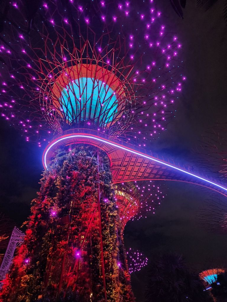 Super Tree Grove Light show