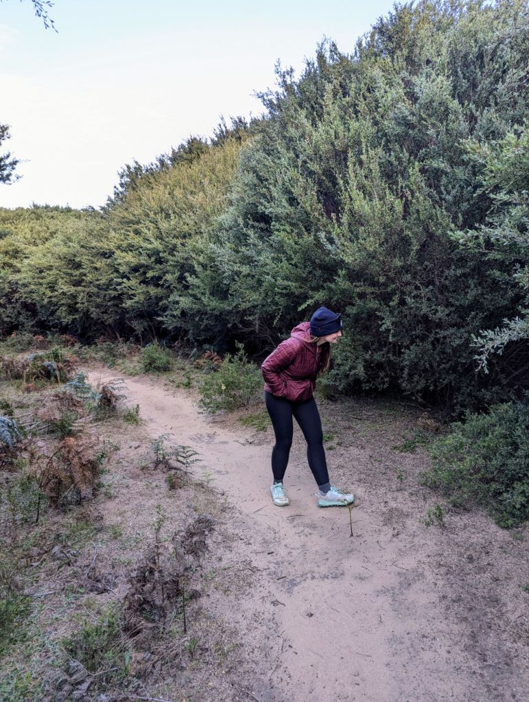 Molly searching for wambats.