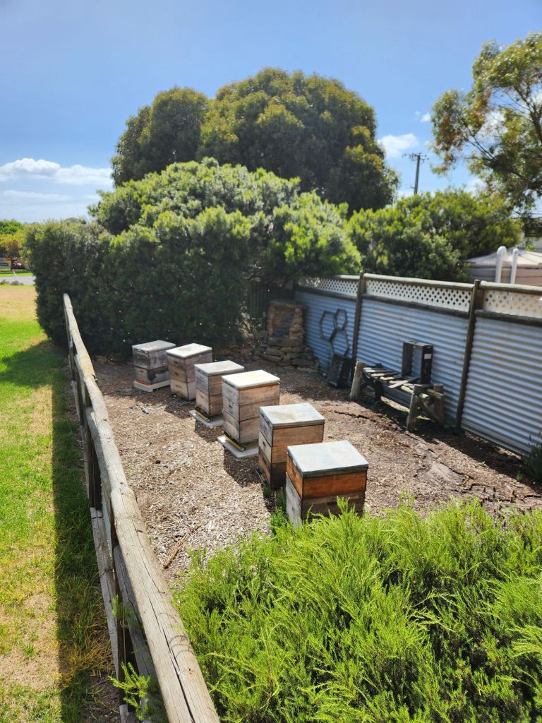 Bee hives