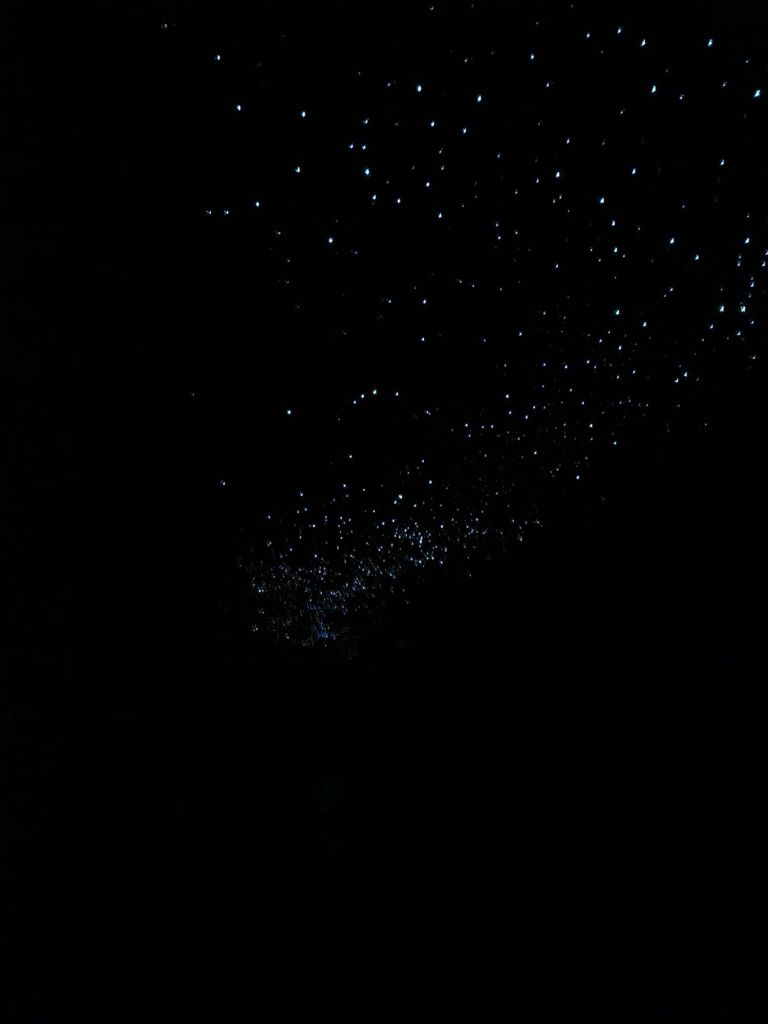 Glow worms